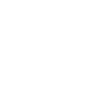 Map icon
